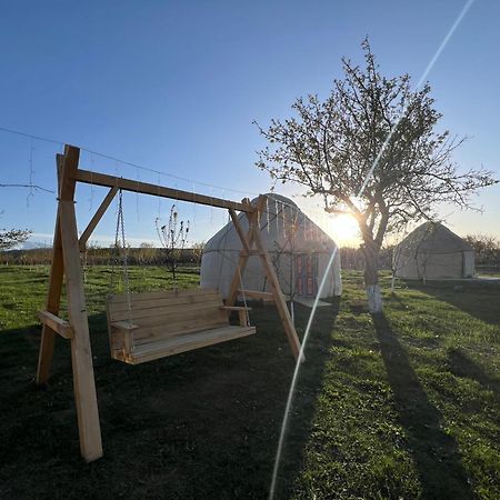 Hotel Bosogo Yurt Camp Bokonbayevo Zewnętrze zdjęcie