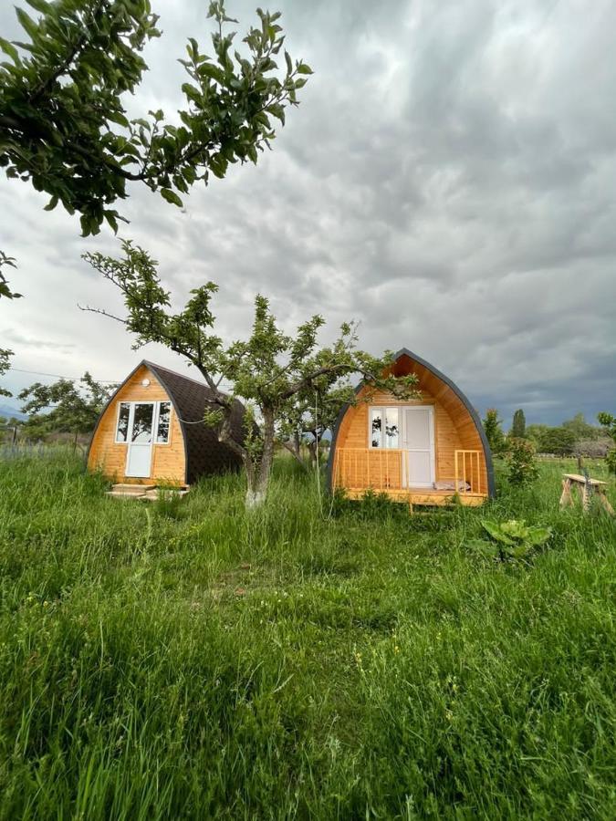 Hotel Bosogo Yurt Camp Bokonbayevo Zewnętrze zdjęcie